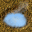 (11,10) (b71bg) 