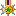 5��D��